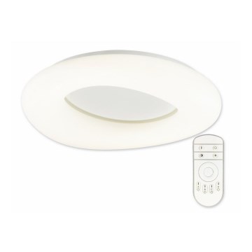 Top Light Cloud PL +kaukosäädin - Himmennettävä LED-kattovalaisin kaukosäätimellä CLOUD LED/40W/230V