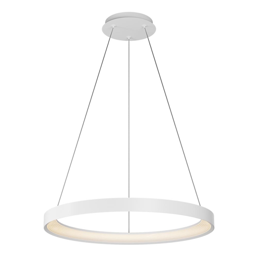 Top Light - Himmennettävä LED-kattokruunu johdossa ORBIT LED/40W/230V 3000-6500K halkaisija 50 cm valkoinen + kauko-ohjaus