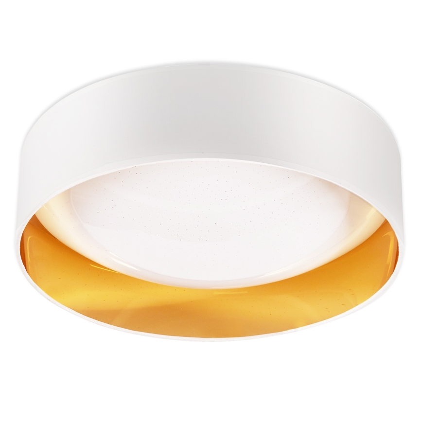 Top Valaistus - Himmennettävä LED-kattovalaisin IVONA 40B +kaukosäädin LED/24W/230V + kauko-ohjaus valkoinen
