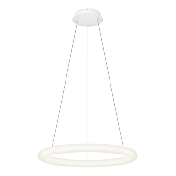 Top Light - LED Himennettävä riippuvalaisin vaijerilla RINGO LED/40W/230V 3000-6500K valkoinen + kaukosäädin