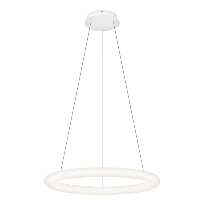 Top Light - LED Himennettävä riippuvalaisin vaijerilla RINGO LED/40W/230V 3000-6500K valkoinen + kaukosäädin