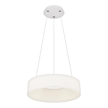 Top Light - LED Himmennettävä riippuvalaisin HALO LED/40W/230V 3000-6500K halkaisija 44 cm + kaukosäätö
