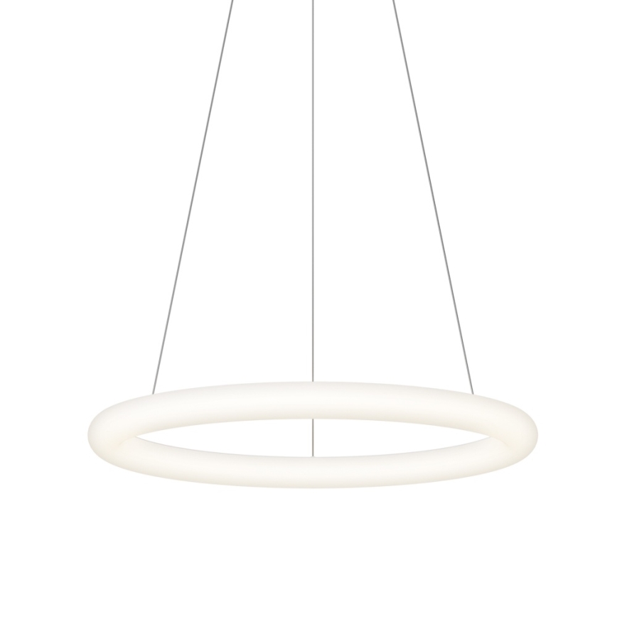 Top Light - LED Himennettävä riippuvalaisin vaijerilla RINGO LED/40W/230V 3000-6500K valkoinen + kaukosäädin