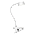 Top Light - LED Himmentävä kosketuspöytälamppu klipsillä BELLA LED/4,8W/5V 3000-6500K valkoinen