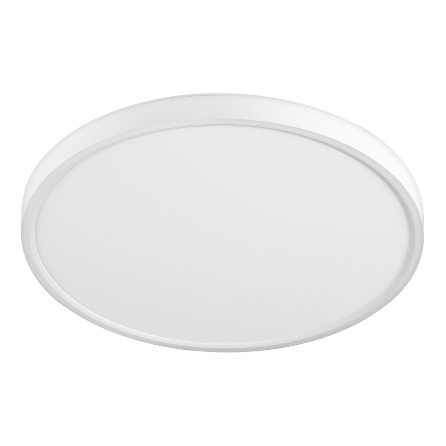 Top Light - LED-kattovalaisin REVIT LED/24W/230V 3000/4000/6500K halkaisija 30 cm valkoinen