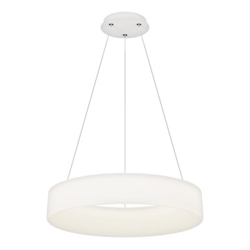 Top Light - LED Ripustettava lamppu HALO LED/60W/230V 3000-6500K 60 cm + kauko-ohjain
