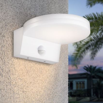 Top Light - LED Ulkovalo anturilla NOVARA LED/15W/230V IP65 valkoinen