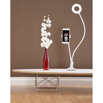 Top Light Neck B - Himmennettävä LED-pöytävalaisin pidikkeen kanssa NECK LED/5W/230V valkoinen