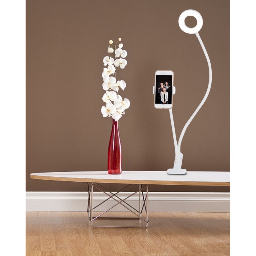 Top Light Neck B - Himmennettävä LED-pöytävalaisin pidikkeen kanssa NECK LED/5W/230V valkoinen