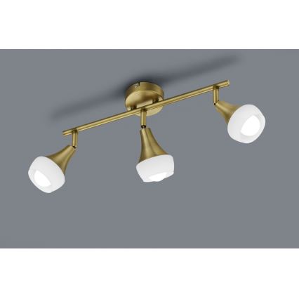 TRIO - Kohdevalo TRUMPET 3xE14/40W/230V