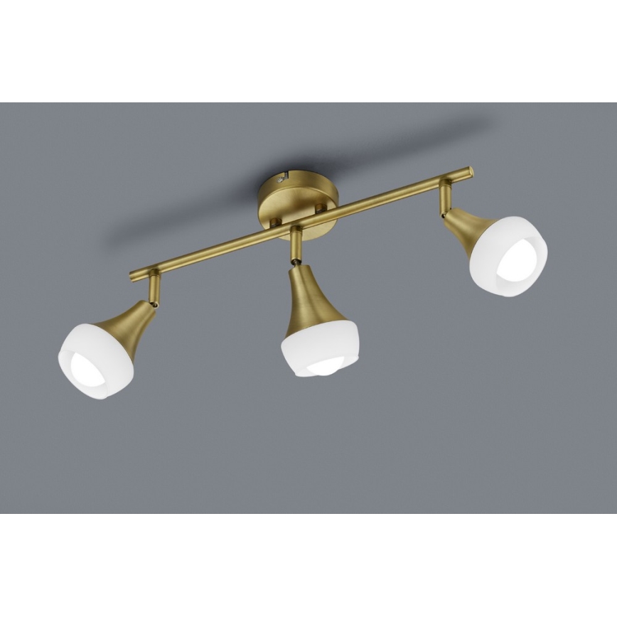 TRIO - Kohdevalo TRUMPET 3xE14/40W/230V