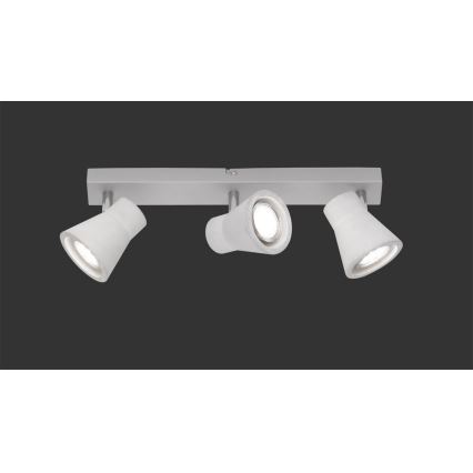 TRIO - LED-kohdevalaisin ANTONY 3xGU10/3W/230V