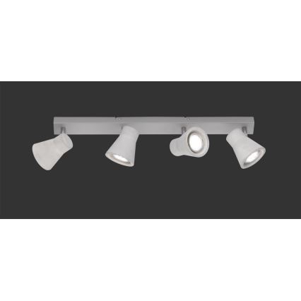 TRIO - LED-kohdevalaisin ANTONY 4xGU10/3W/230V