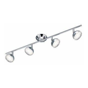 Trio - LED-kohdevalaisin BOLOU 4xLED/3,8W/230V