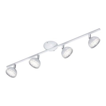 Trio - LED-kohdevalaisin BOLOU 4xLED/3,8W/230V