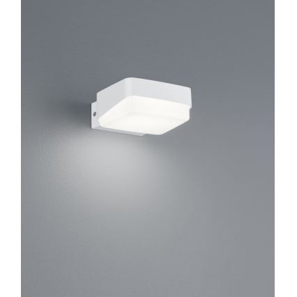 Trio - LED-ulkoseinävalaisin JUBA LED/10W/230V IP65