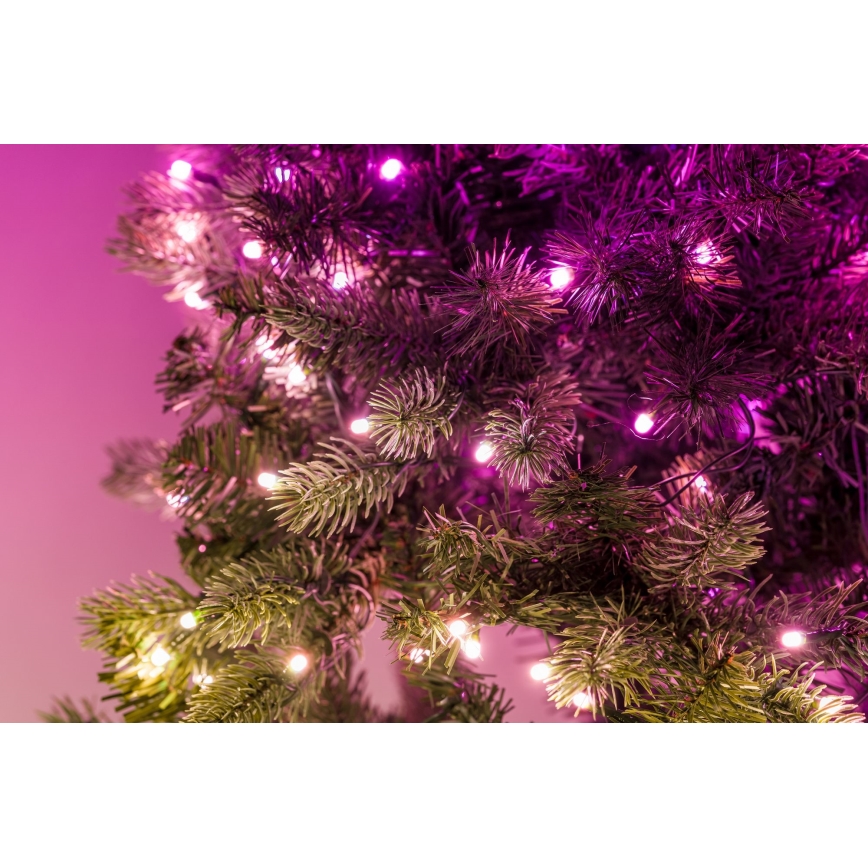 Twinkly - LED RGB Himmennettävä jouluseppele 50xLED halkaisija 60 cm Wi-Fi
