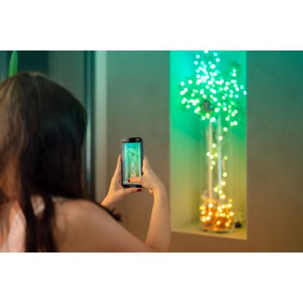 Twinkly TWKP100RGB-G - LED RGB Himmennettävä jouluverho LED 8 m USB Wi-Fi