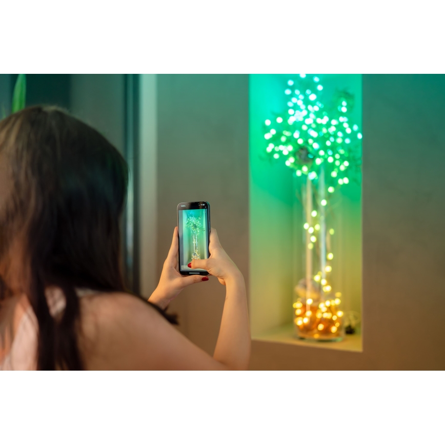 Twinkly TWKP100RGB-G - LED RGB Himmennettävä jouluverho LED 8 m USB Wi-Fi