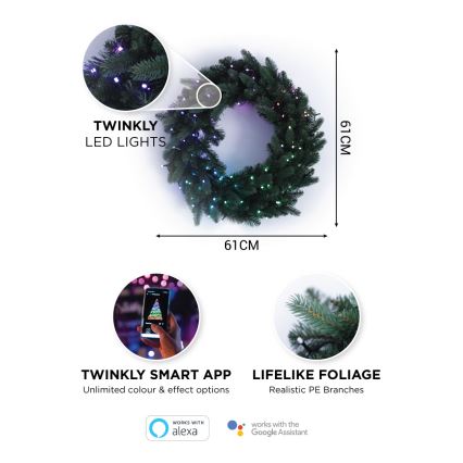 Twinkly - LED RGB Himmennettävä jouluseppele PRE-LIT WREATH 50xLED halkaisija 61cm Wi-Fi