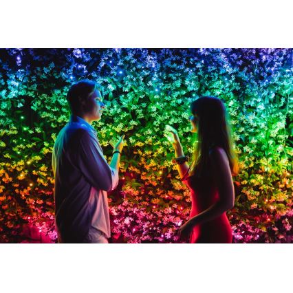 Twinkly - LED RGB Himmennettävä ulko Jouluketju STRINGS 600xLED 51,5m IP44 Wi-Fi