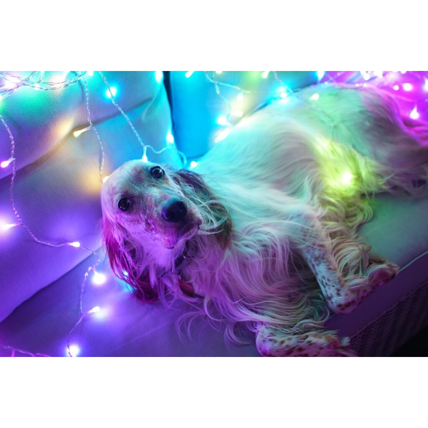 Twinkly - LED RGBW Himmennettävä ulko Valoverho CURTAIN 210xLED 6,1m IP44 Wi-Fi