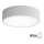 Ulkokattovalaisin anturilla CLEO 2xE27/24W/230V d. 30 cm harmaa IP54