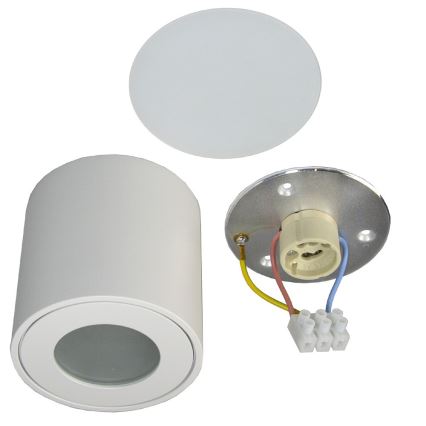 Ulkokattovalo FARA 1xGU10/50W/230V IP54 valkoinen