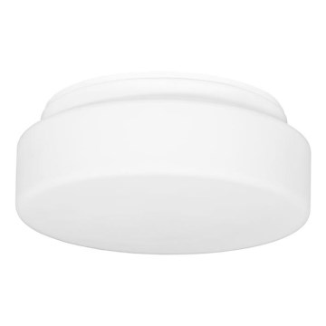 Ulkokattovalo HECTOR 1xE27/60W/230V halkaisija 25 cm IP44 opaali valkoinen