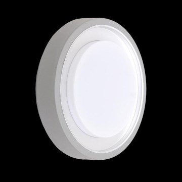Ulkokattovalo ORIGO 1xE27/60W hopea IP54