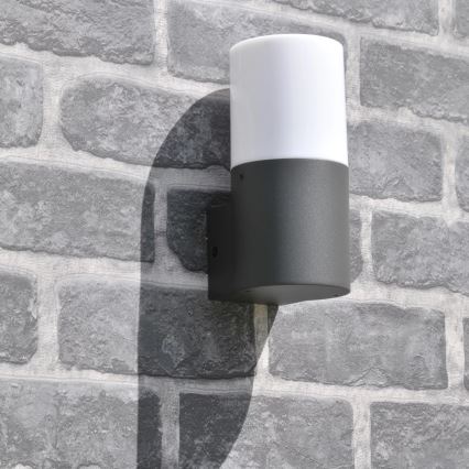 Ulkoseinävalaisin DALLAS 1xE27/12W/230V IP44 grafiitti
