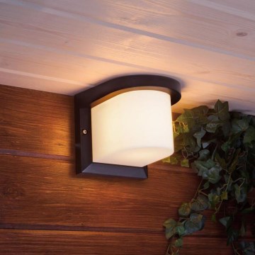 Ulkoseinävalaisin PETUNIA 1xE27/60W/230V IP44 antrasiitti