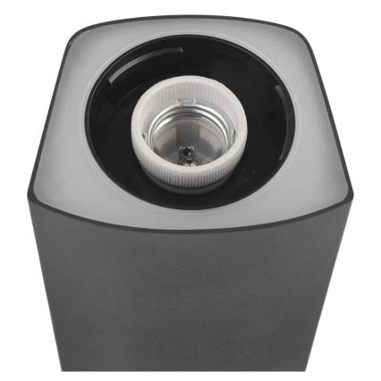 Ulkovalaisin LANA 1xE27/25W/230V IP54 45 cm