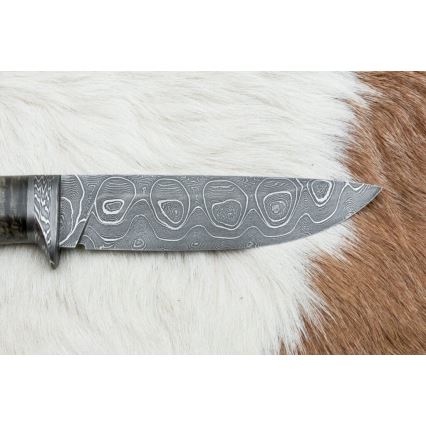 Uniikki Damascus-veitsi 12,7 cm vaahtera/akaatti