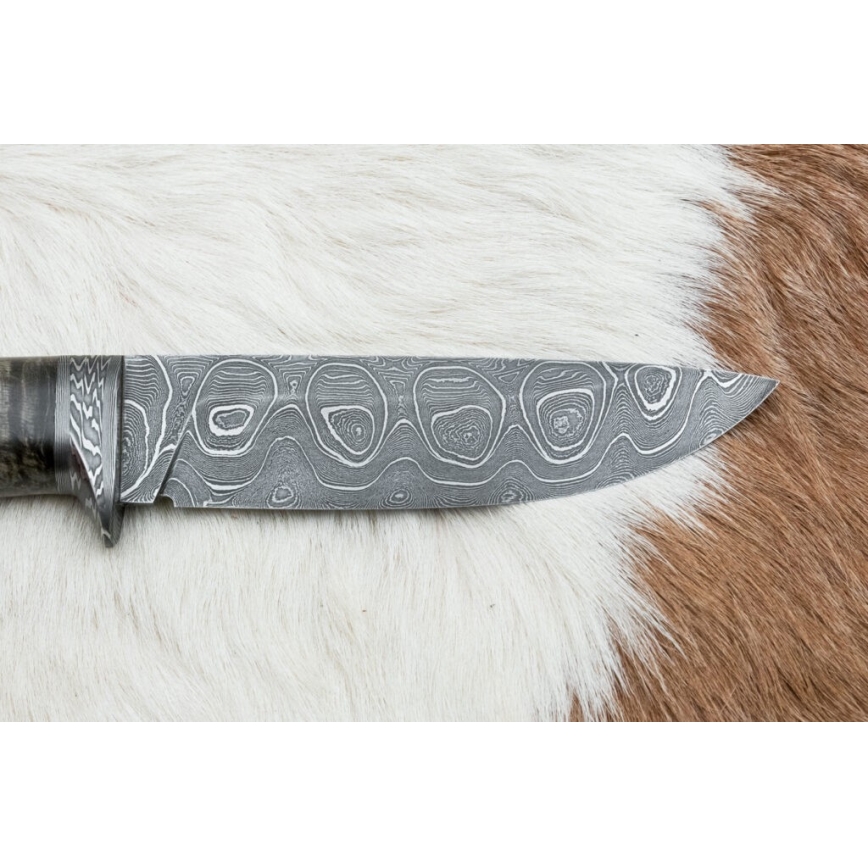 Uniikki Damascus-veitsi 12,7 cm vaahtera/akaatti