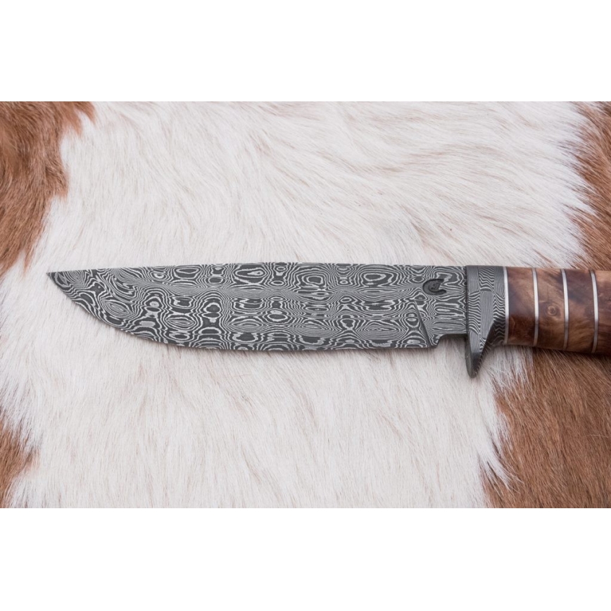 Uniikki Damascus-veitsi 14,4 cm kastanjapuu/mammutinhammas