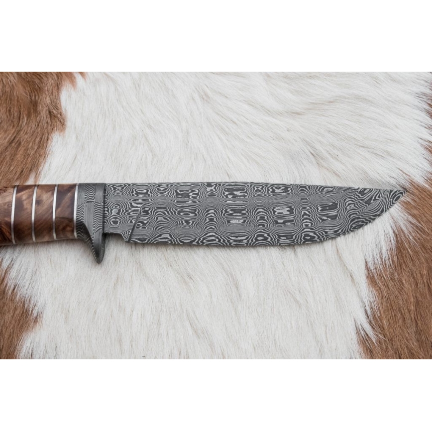 Uniikki Damascus-veitsi 14,4 cm kastanjapuu/mammutinhammas