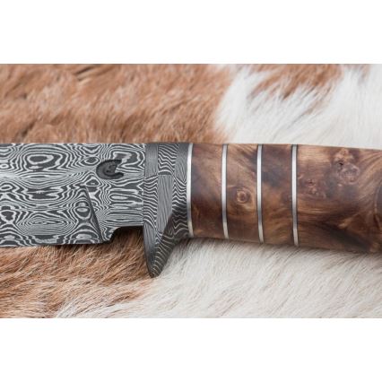 Uniikki Damascus-veitsi 14,4 cm kastanjapuu/mammutinhammas