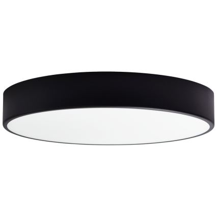 Kattovalaisimen vaihtolasi CLEO 50 cm lasi