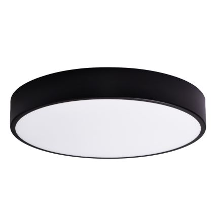 Vaihtolasi CLEO 60 cm lasi