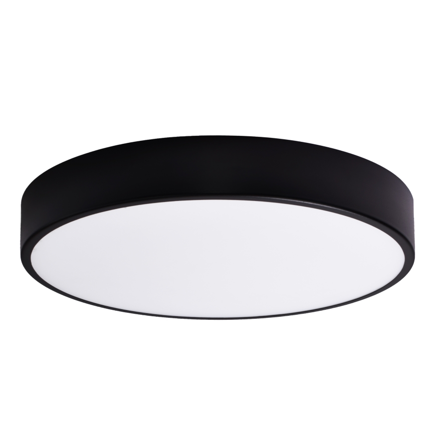 Vaihtolasi CLEO 60 cm lasi