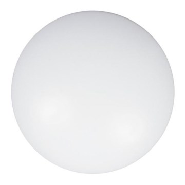 Vaihtolasi CLEO 80 cm lasi