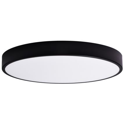 Vaihtolasi CLEO 80 cm lasi