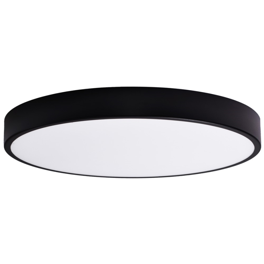 Vaihtolasi CLEO 80 cm lasi