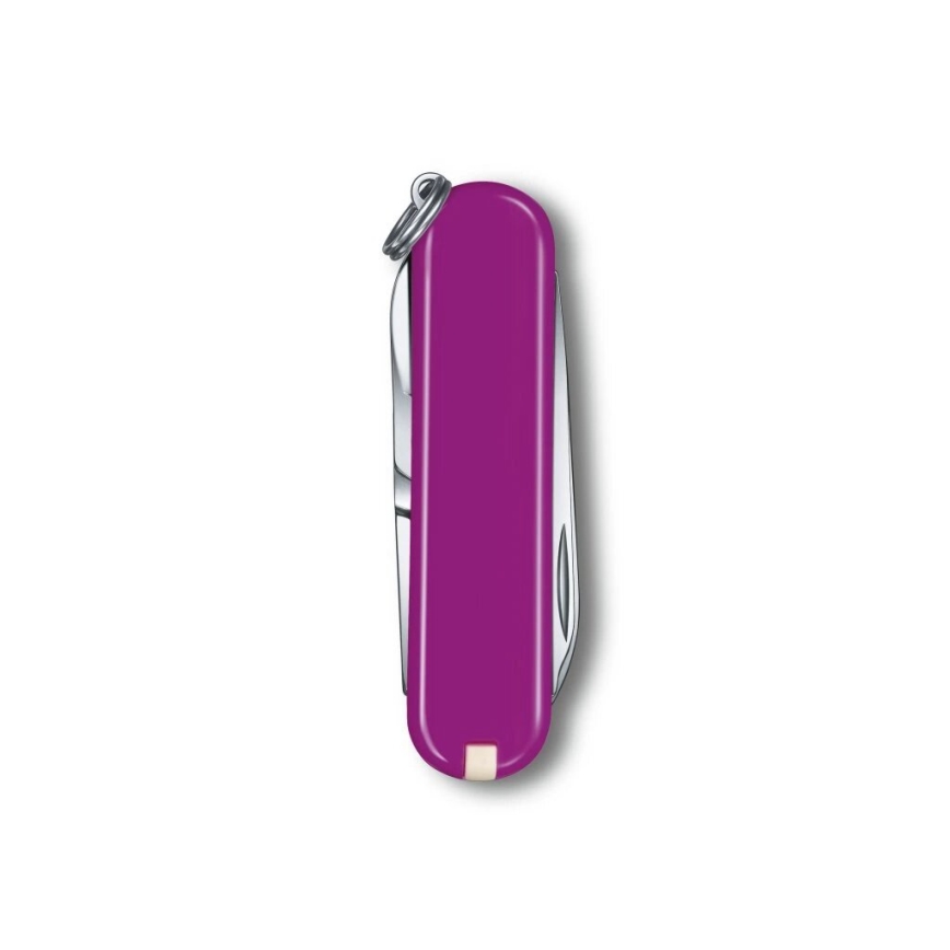 Victorinox - Monikäyttöinen taskuveitsi CLASSIC SD 5,8 cm/7 toiminnot violetti