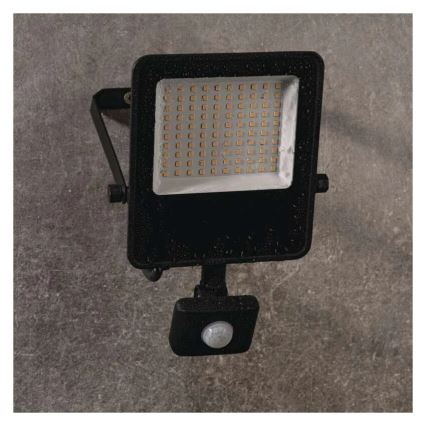 LED-valonheitin sensorilla VISIO LED/50W/230V 4000K IP65