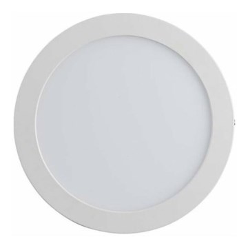 Voltolux - LED-kattovalaisin PROFESSIONAL LED/12W/230V
