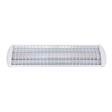 Voltolux - LED Loisteputki MODERN 2xLED/12W/230V