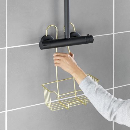 WENKO 25937100 - Suihkukori MILO 25x36 cm ruostumaton teräs/kultainen/kirkas