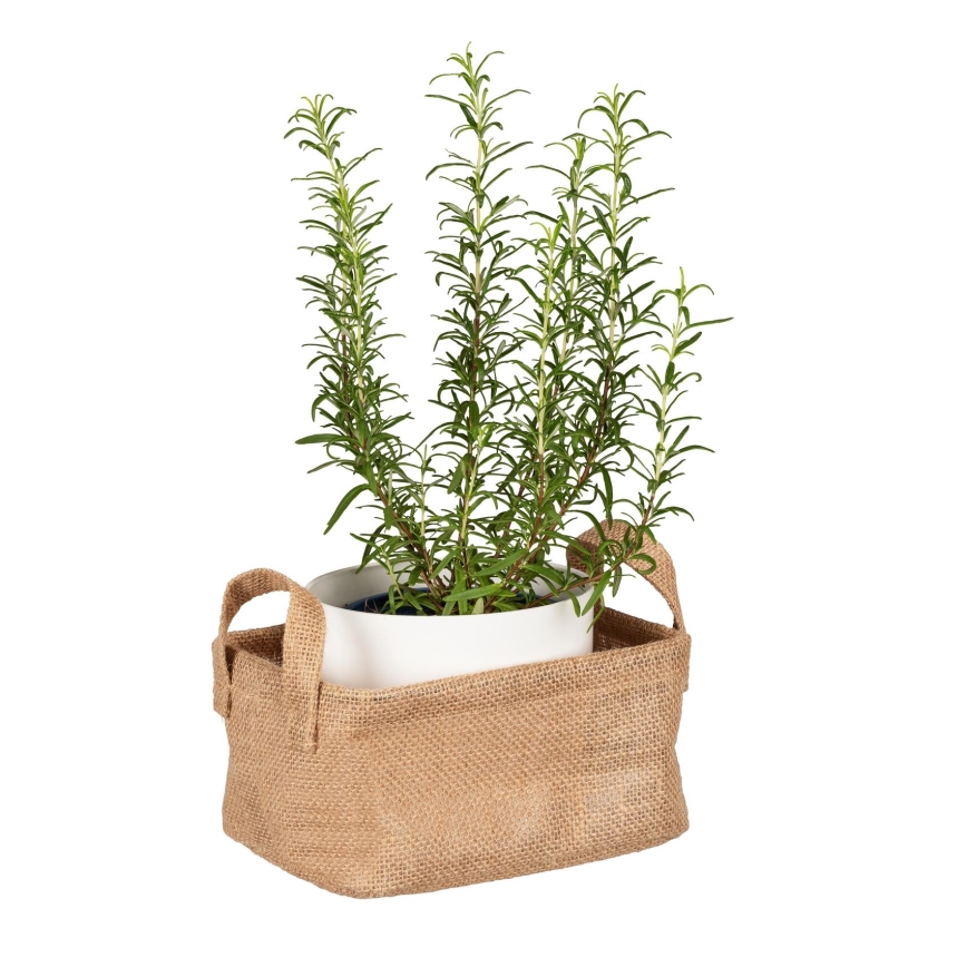 WENKO 64470100 - Kori JUNA 20x15 cm ruskea